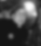 New York photo personals